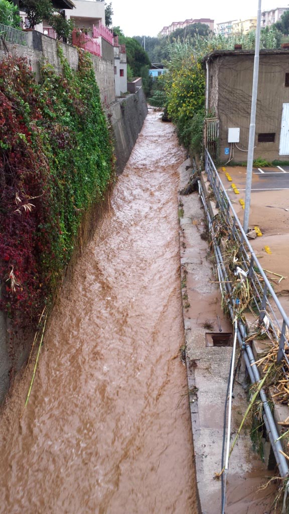 Rio Salivoli (Piombino) - rospi smeraldini in citt!